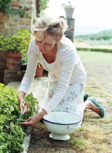 10 Easy-to-Grow Herbs for a Simple Kitchen Herb Garden